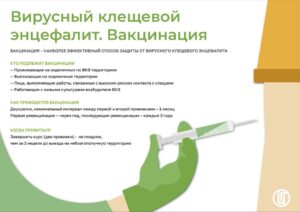 энцифалит