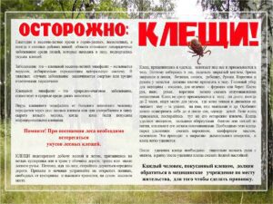 клещ